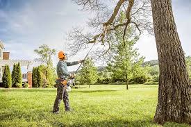 Best Leaf Removal  in Metamora, IL